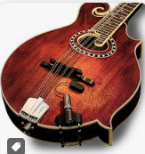 L.R Baggs Radius Mandolin Pickup