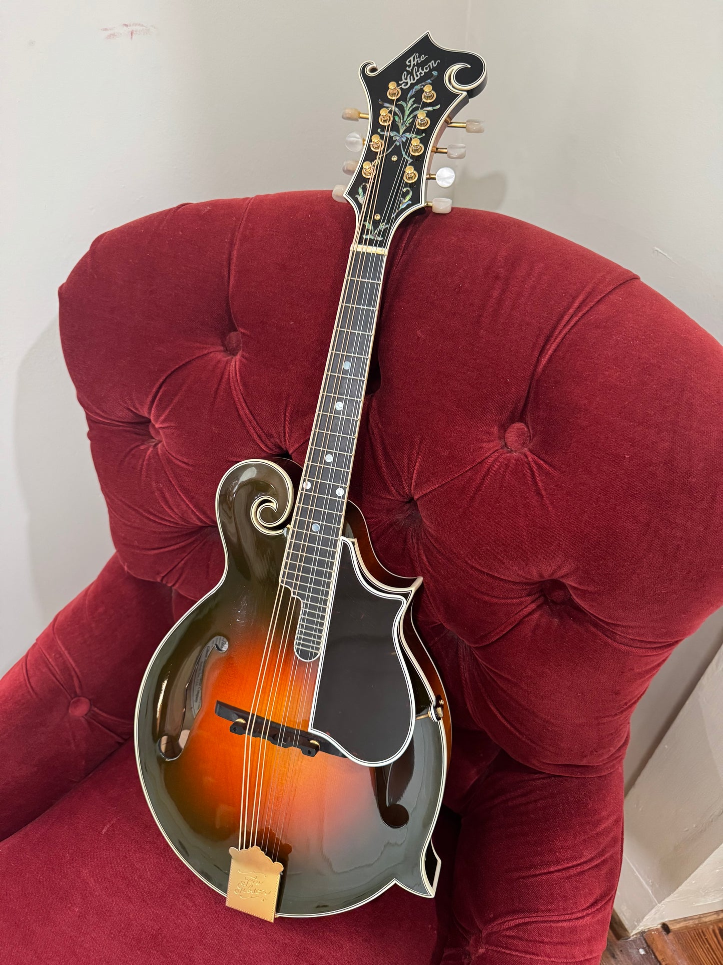 2003 Gibson "The Fern" F5L