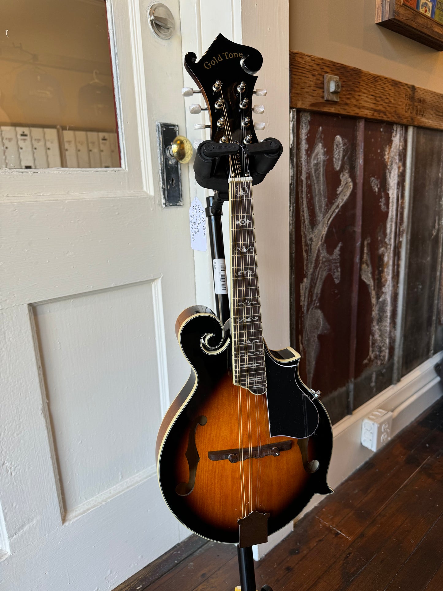 Goldtone GM-35 F Style Mandolin