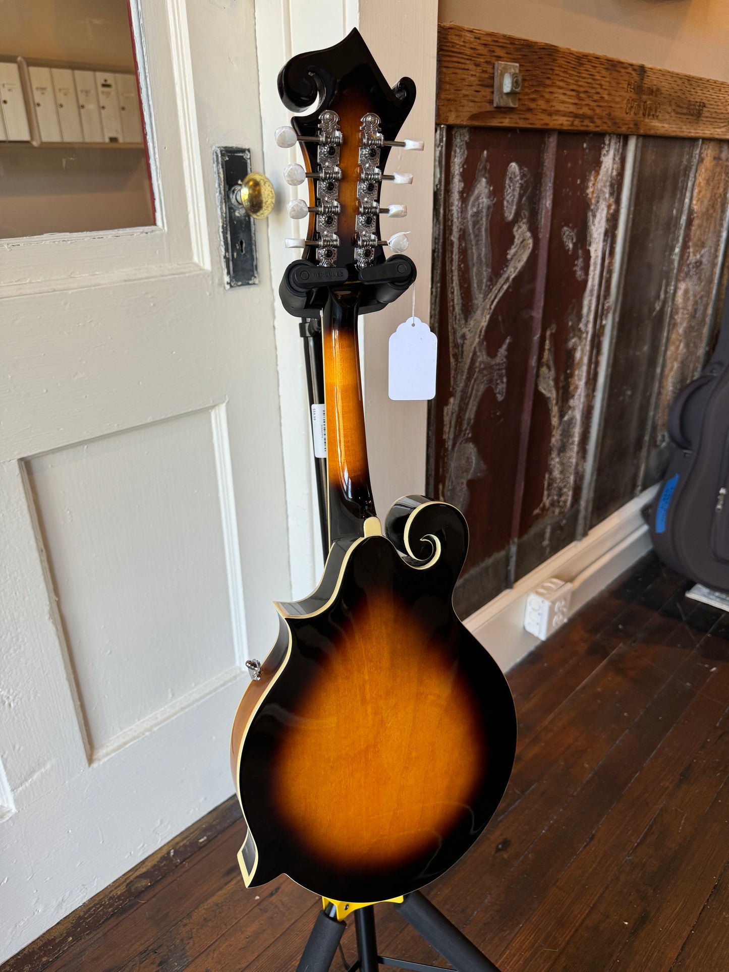 Goldtone GM-35 F Style Mandolin