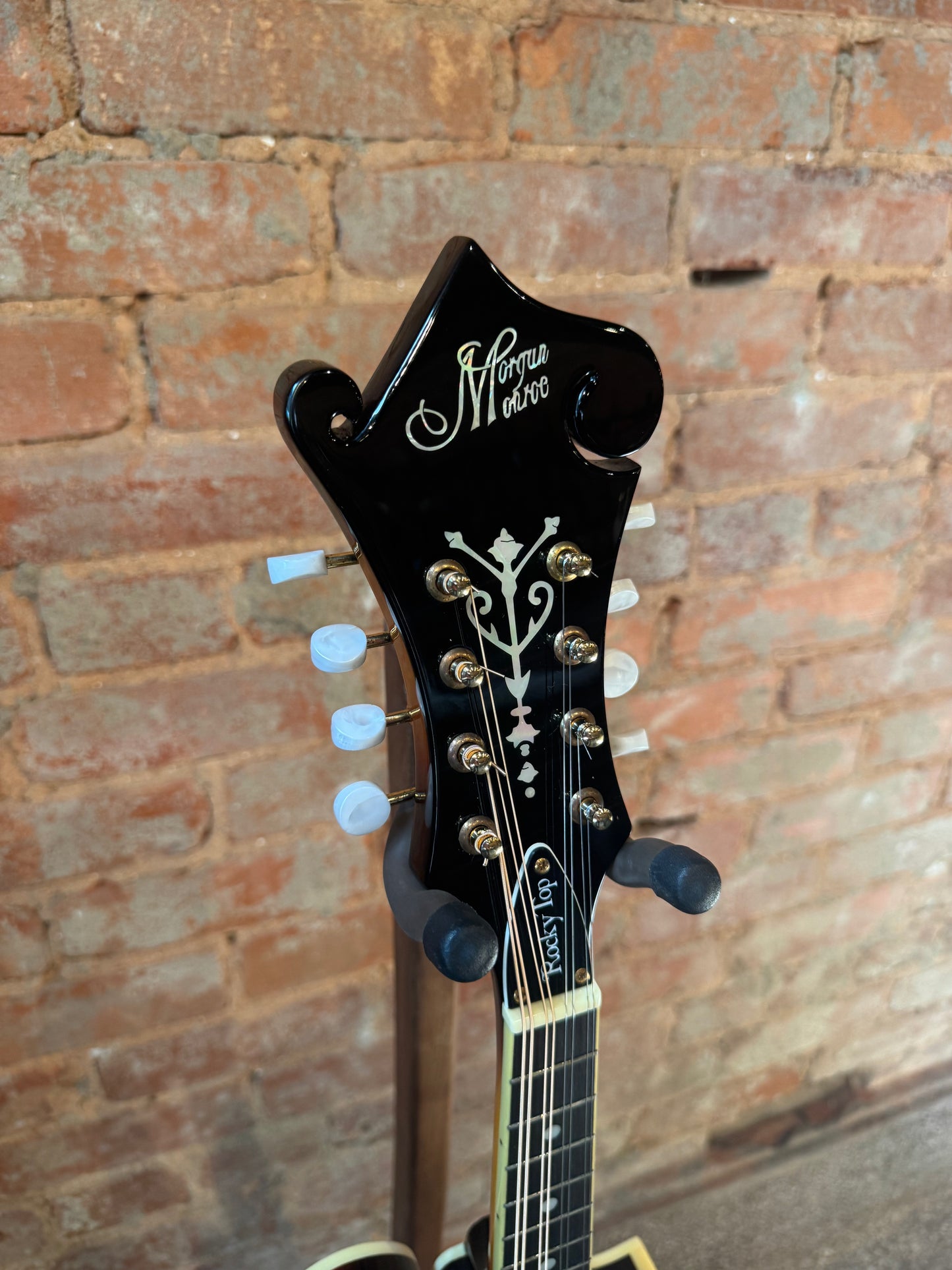 Morgan Monroe MM-100/SB