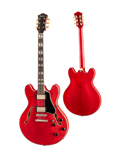 Eastman T59/TV (on order)